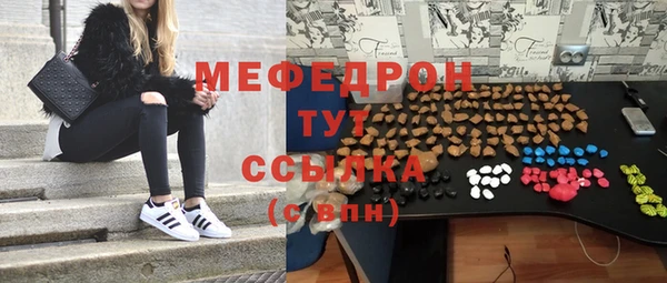 индика Цоци-Юрт