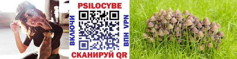 Галлюциногенные грибы прущие грибы  купить наркотики цена  Кандалакша 